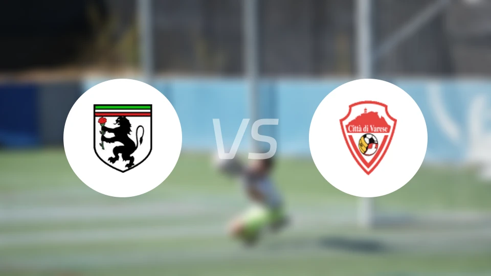 德尔特霍纳vs奇塔瓦雷泽