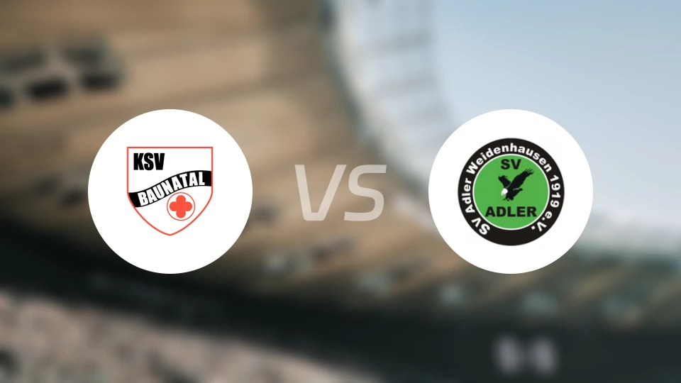 保纳塔尔vsSV登豪斯