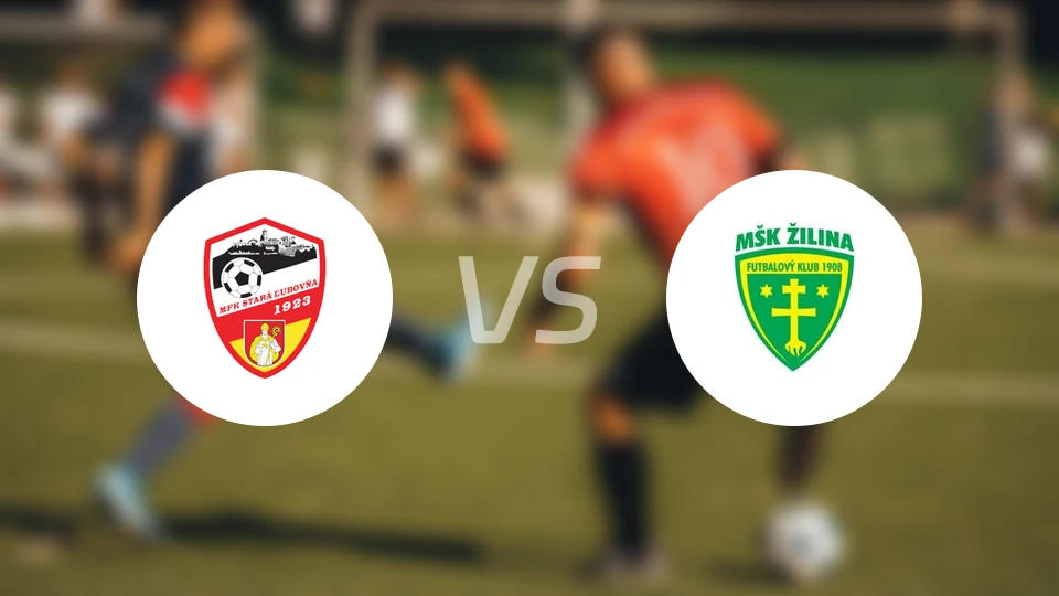 鲁玻夫纳vs日利纳B队