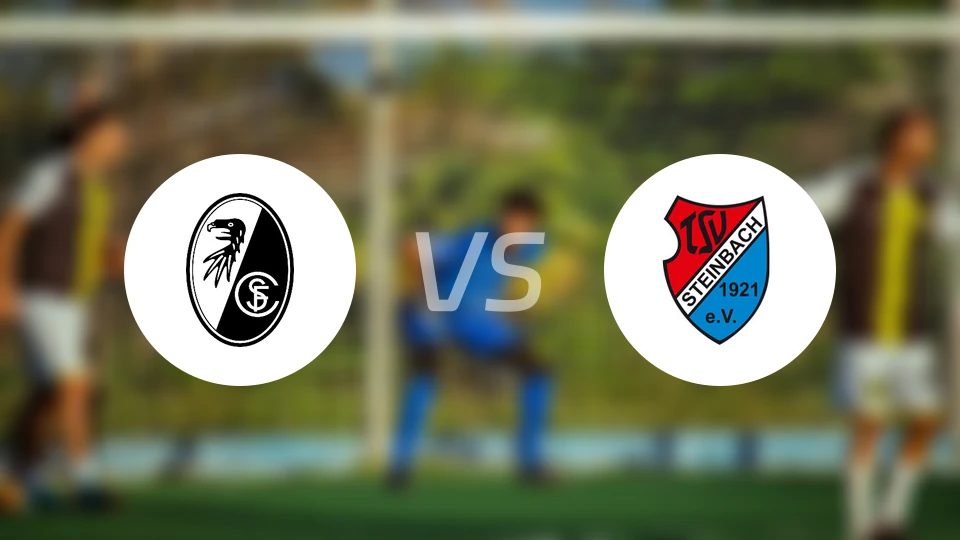 弗赖堡B队vsTSV施泰因巴赫