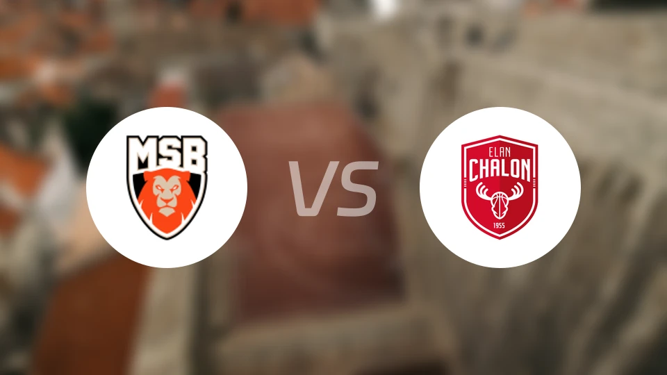 勒芒vs沙隆索恩