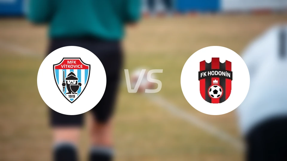 维特科维斯vs霍多宁