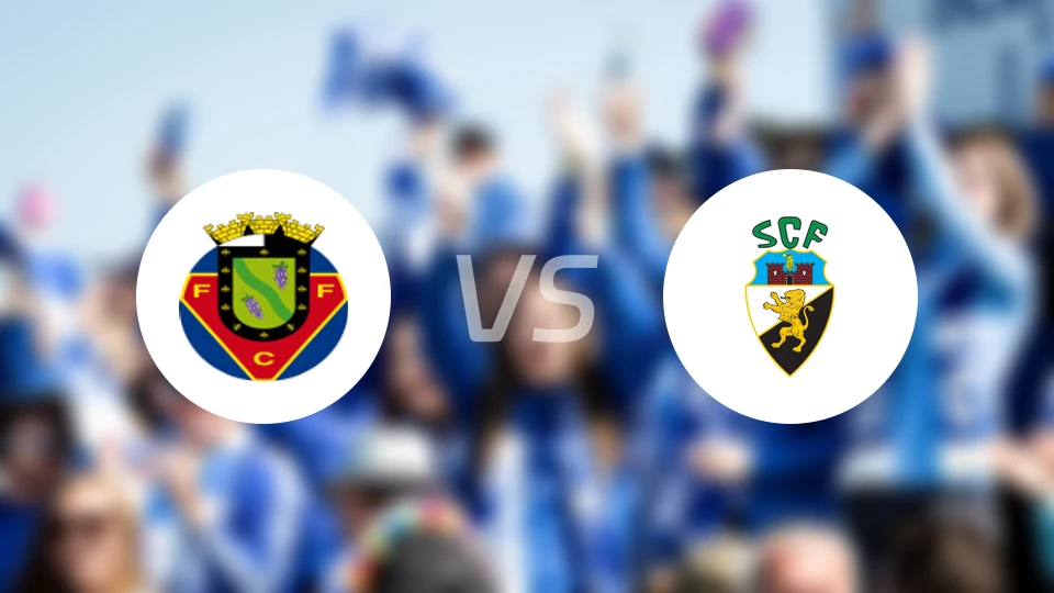 费尔格拉斯vs法鲁人