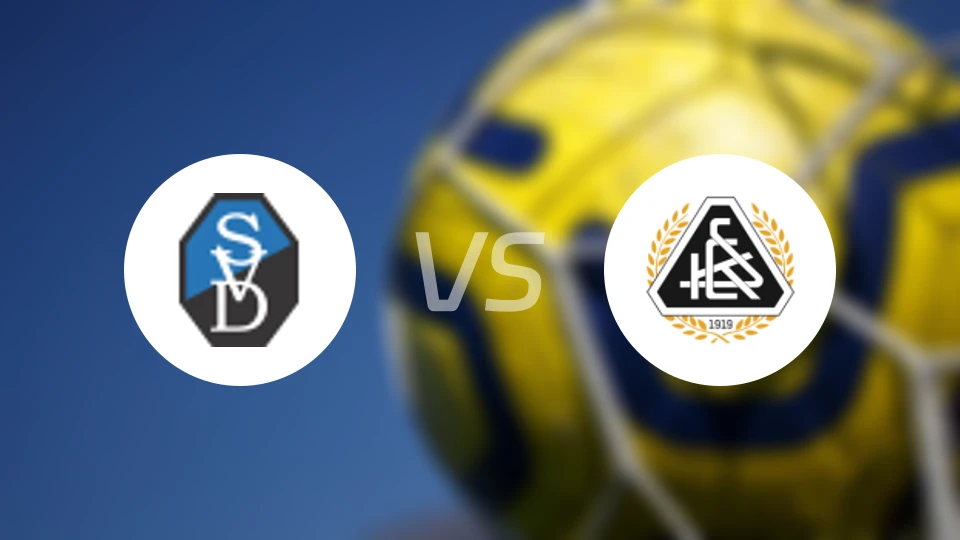 SV多瑙vs克林斯马