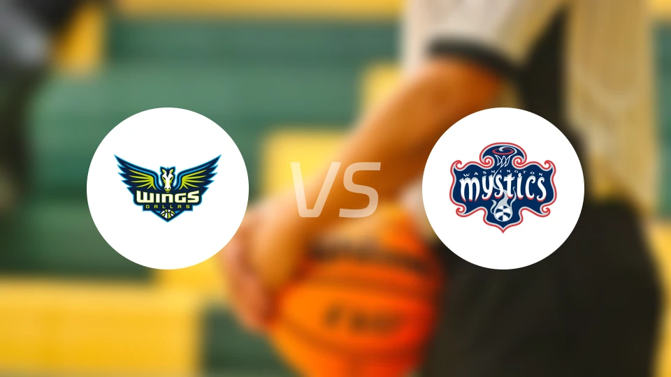 飞翼vs神秘人