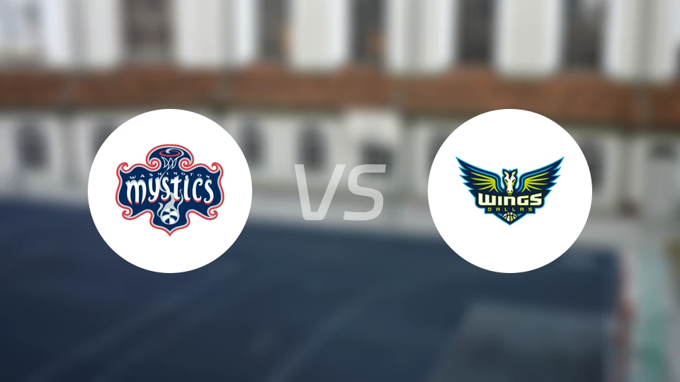 神秘人vs飞翼