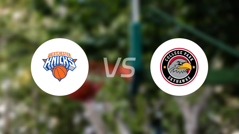 韦斯特彻斯特尼克斯vs科利奇帕克天鹰