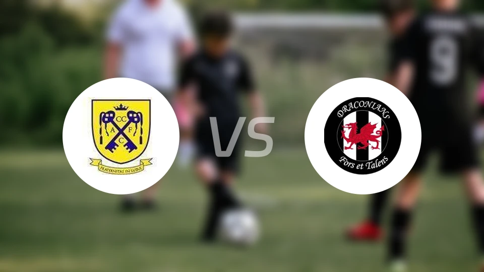 施白兰凯尔特人vs卡迪夫龙人