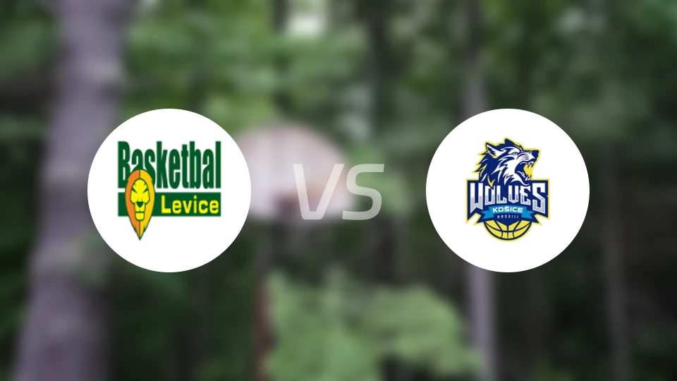 莱维切vs科希策狼队