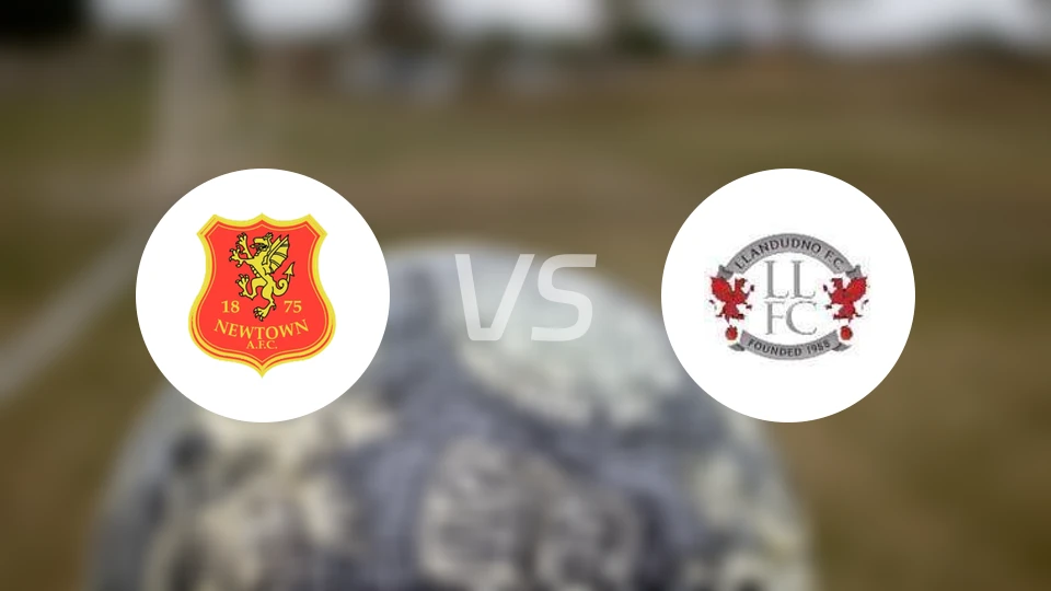 纽顿vs兰迪德诺