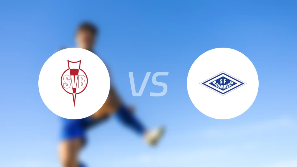 比门霍斯特vs巴姆堡格