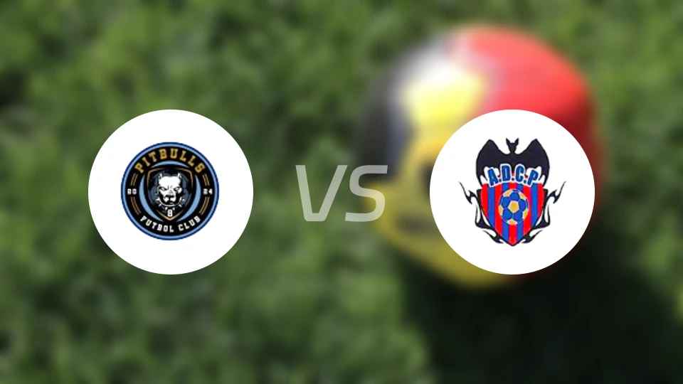 比特布尔思vs卡里阿利