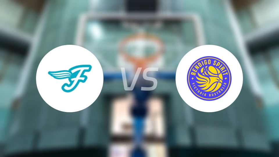 南区飞人女篮vs本迪高精灵女篮