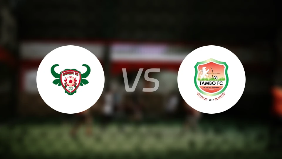 高米多vs坦博FC