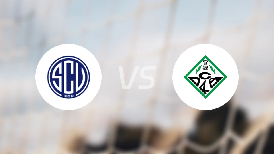 凡恩尼斯vs里贝拉