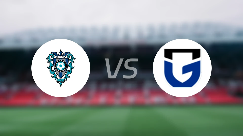 福冈黄蜂vs大阪钢巴