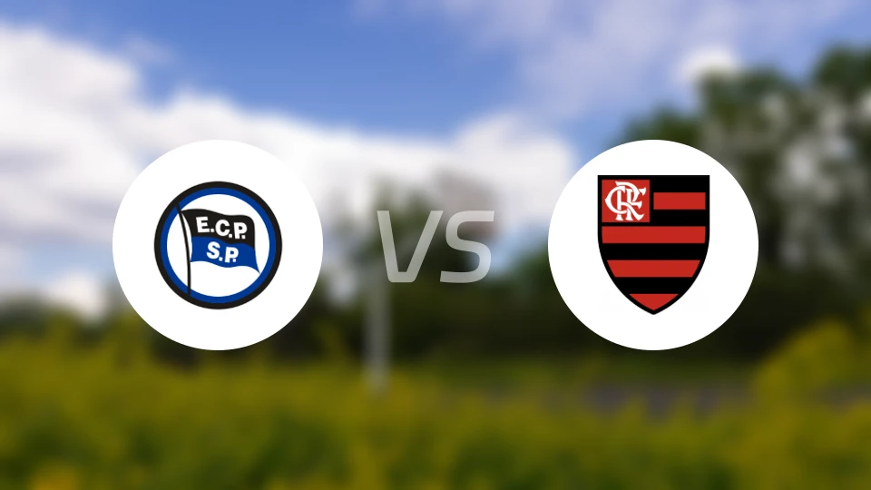 皮涅鲁斯vs弗拉门戈