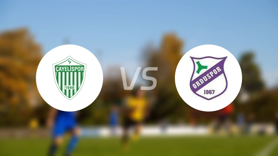 卡耶利vs奥特士邦