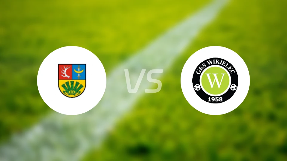 特罗申vs维基勒