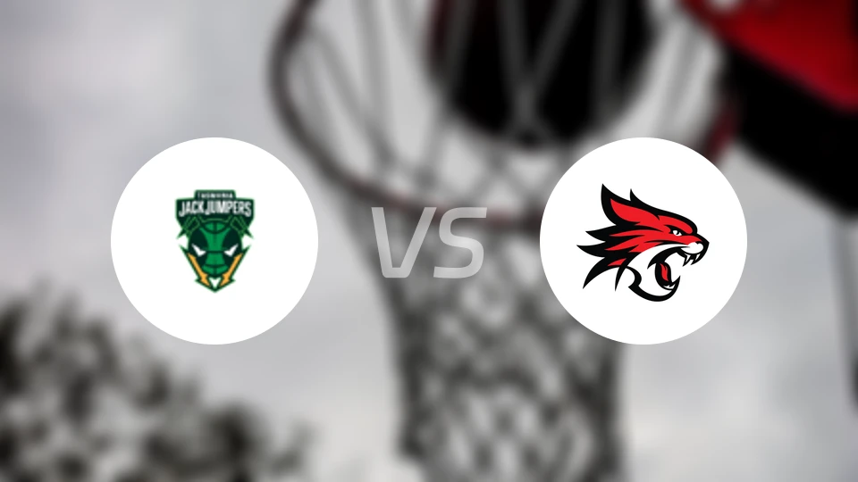 塔斯马尼亚跳伞蚁vs珀斯野猫