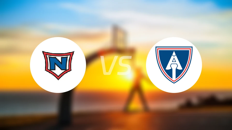 拿尔维克vs艾尔曼尼