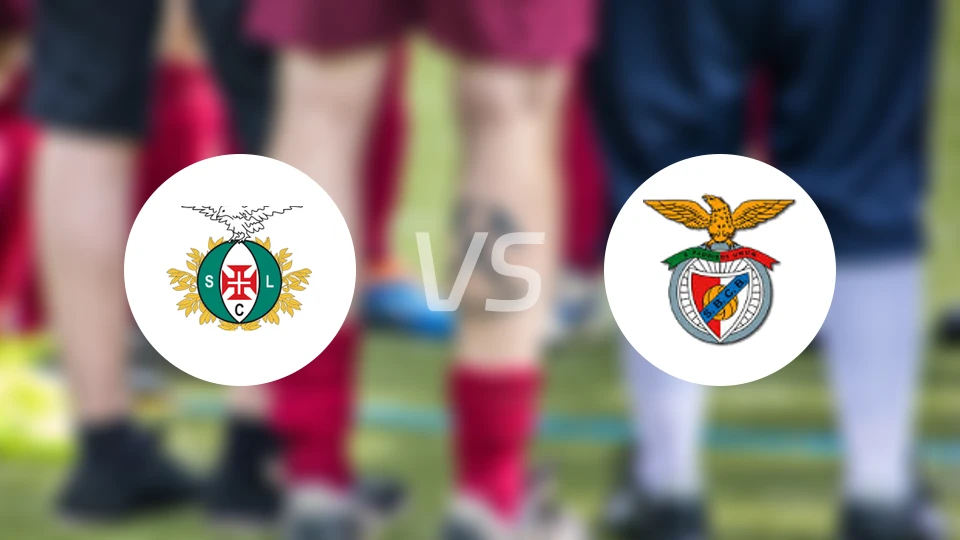 露西塔尼亚亚速vs本菲卡卡斯特罗