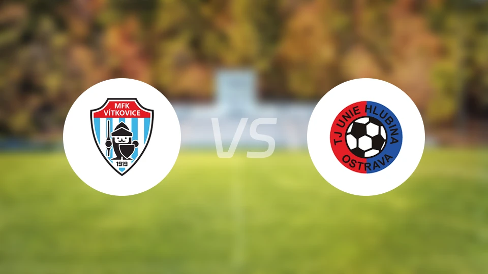 维特科维斯vs荷路比纳