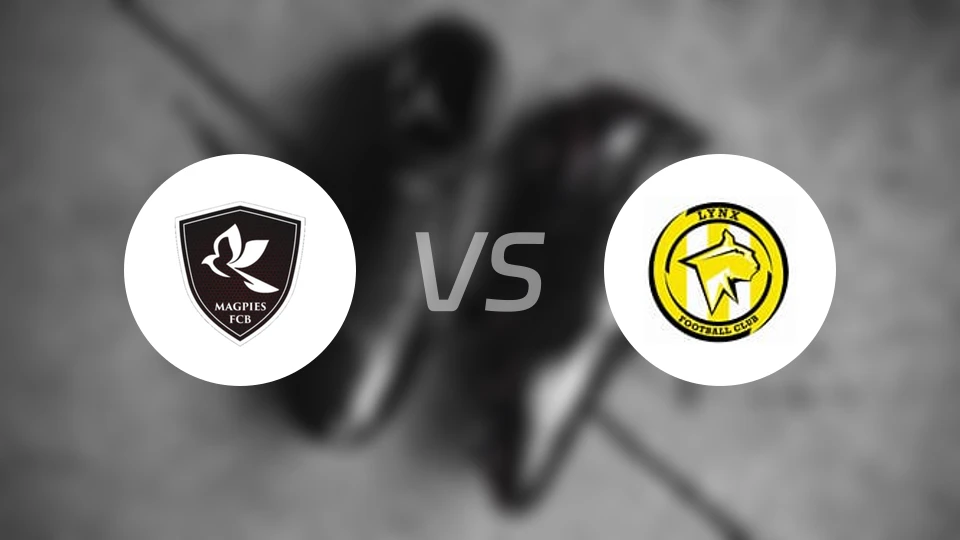 布鲁诺斯喜鹊vs山猫FC