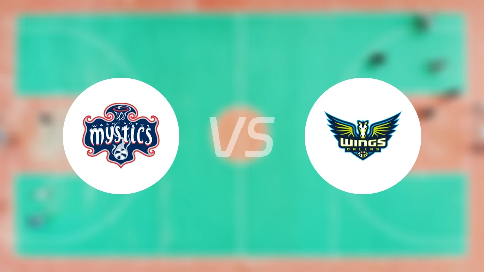 神秘人vs飞翼