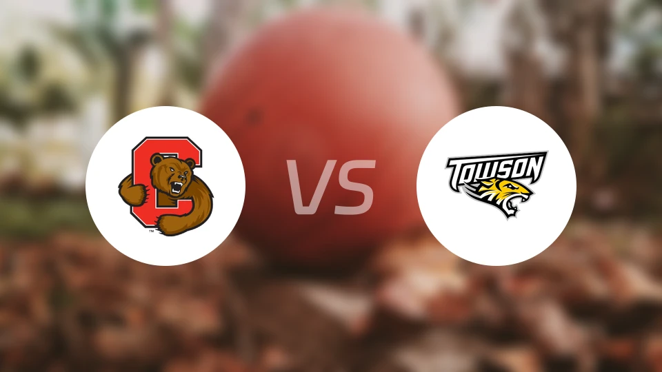 康奈尔大学vs陶森大学