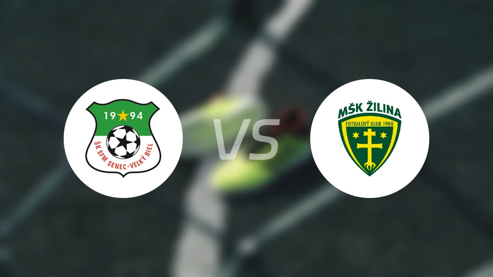 SFM森纳克vs日利纳