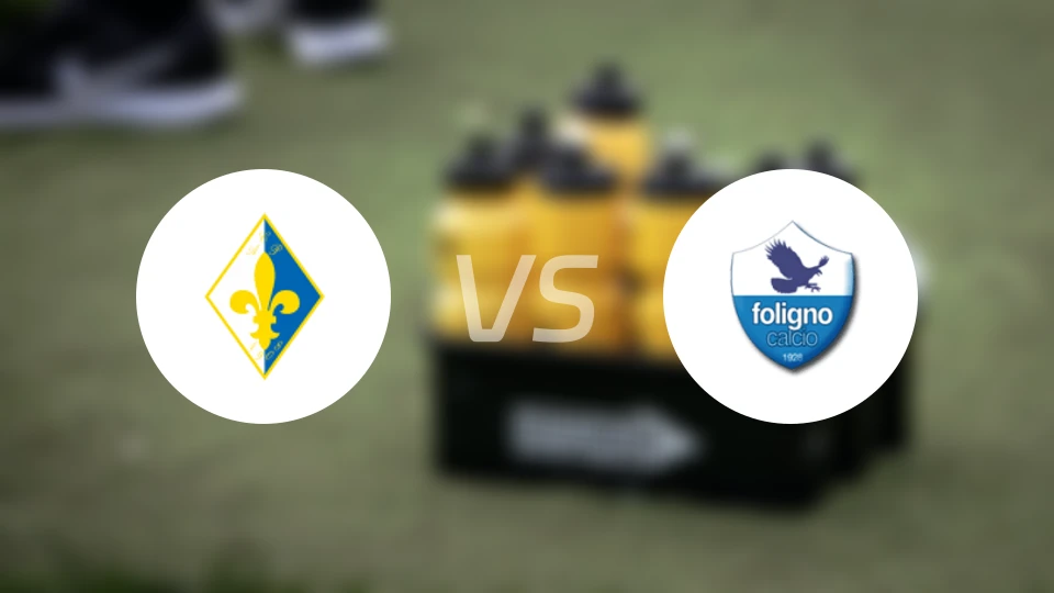 布拉图vs佛利奴