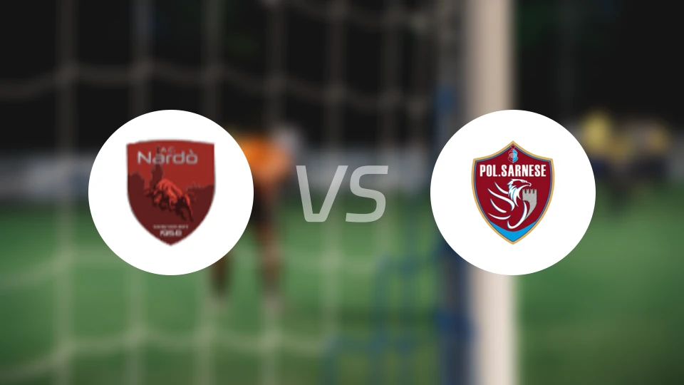 纳尔多vs萨尼斯