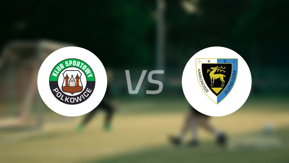 包尔科维切vs卡尔科努