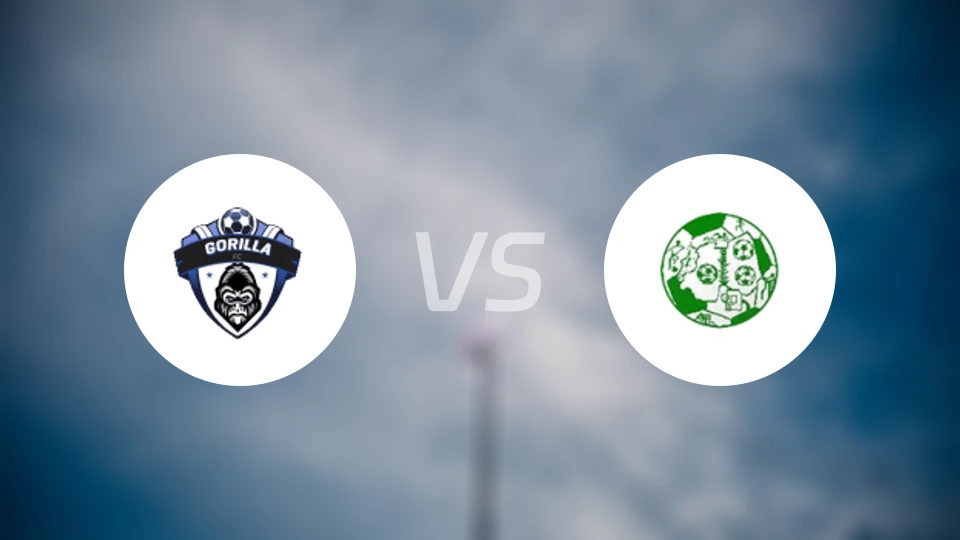 大猩猩FCvs基约乌体育