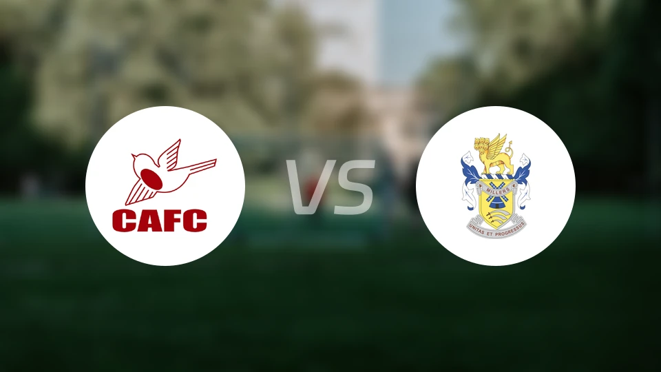 卡尔顿斯vs艾维利