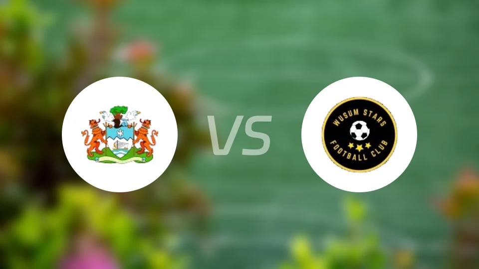 弗里敦市vs乌苏姆之星