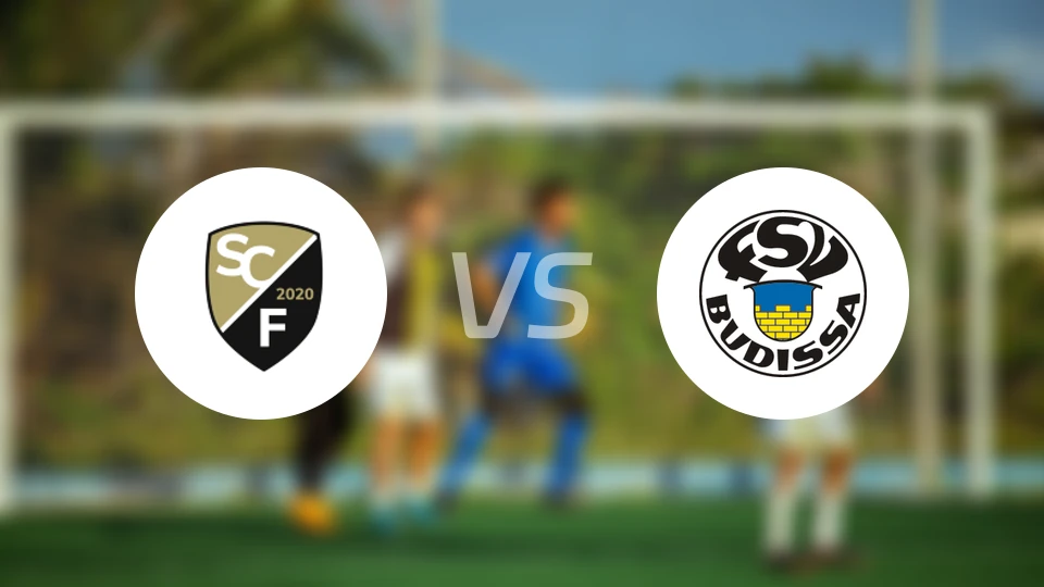 弗里塔尔vs巴迪莎