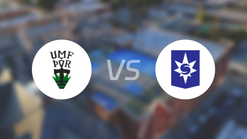 托尔vs斯塔尔南