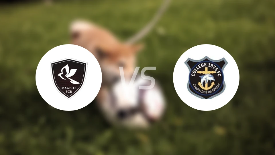 布鲁诺斯喜鹊vs哥连泰1975FC