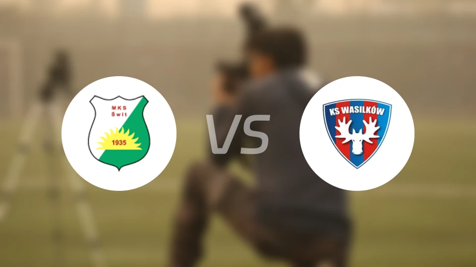 斯维特vs瓦西里科夫