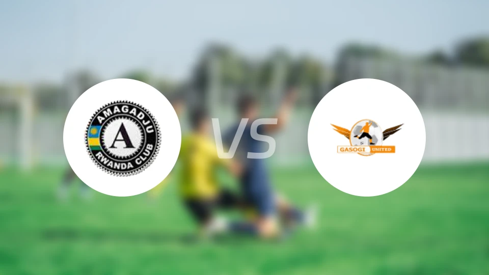 阿马举派vs加索基