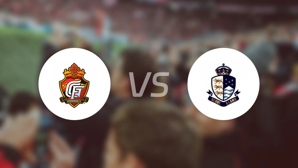 庆南FCvs首尔衣恋