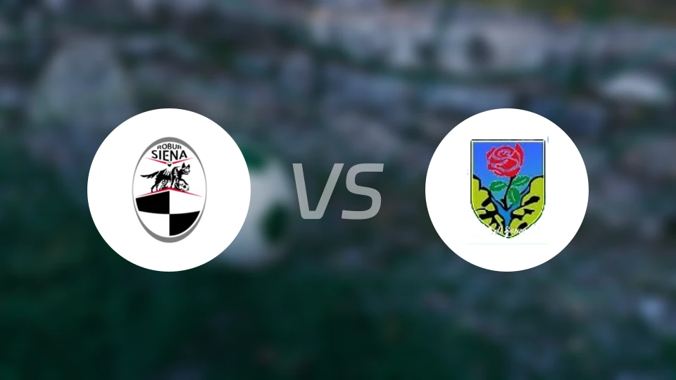 锡耶纳vsASD塞拉韦扎足球