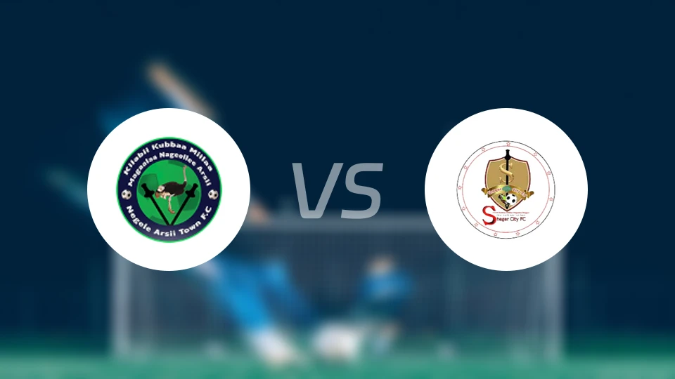 内格莱阿西vs谢格尔凯特马