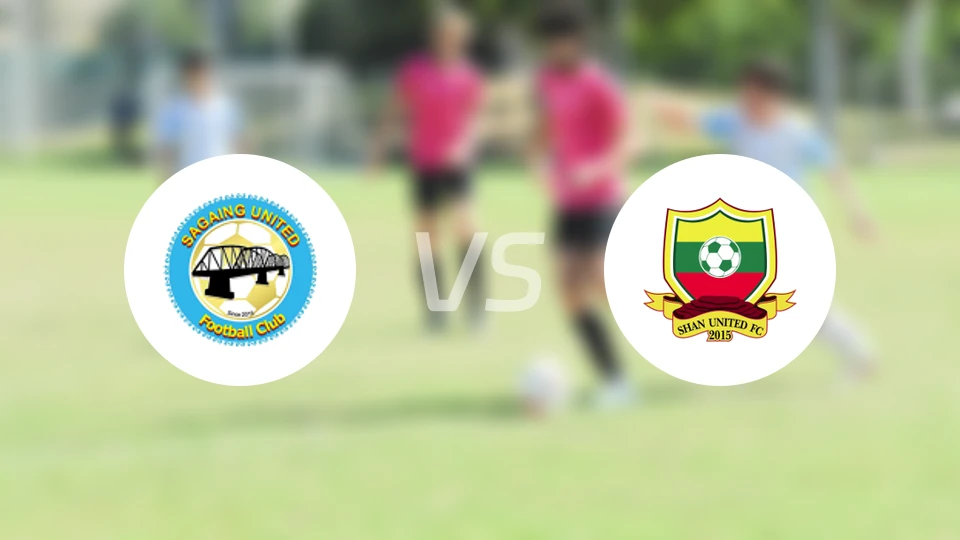 实皆联vs掸邦联