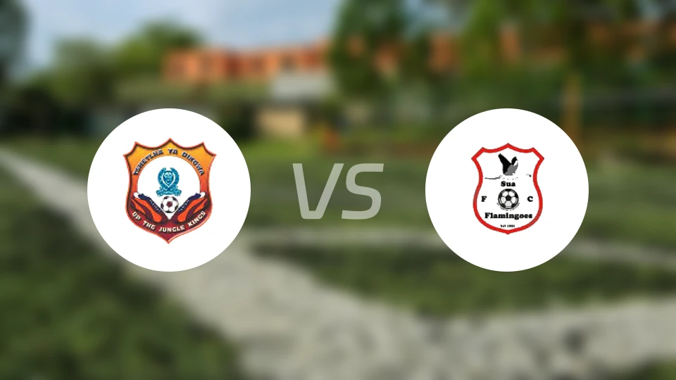 博茨瓦纳警察XI SCvs苏阿火烈鸟