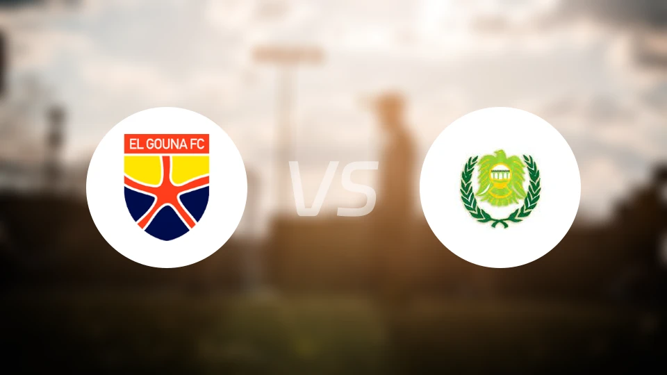 艾尔格纳vs佩特雷姆