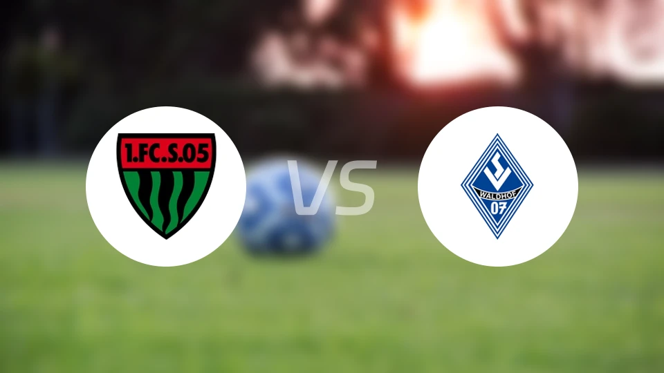 施韦因富特vs曼海姆