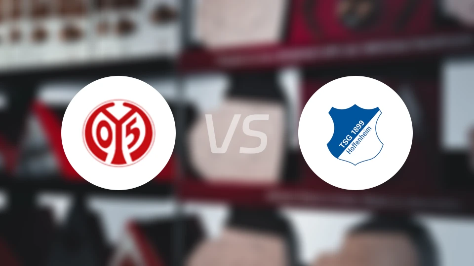 美因茨vs霍芬海姆